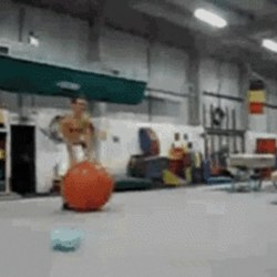 A selection of cool gifs №47 10