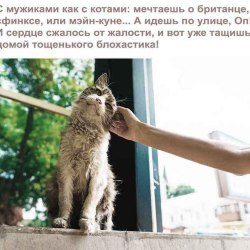 Анекдоты про котов и кошек (25 картинок) 15