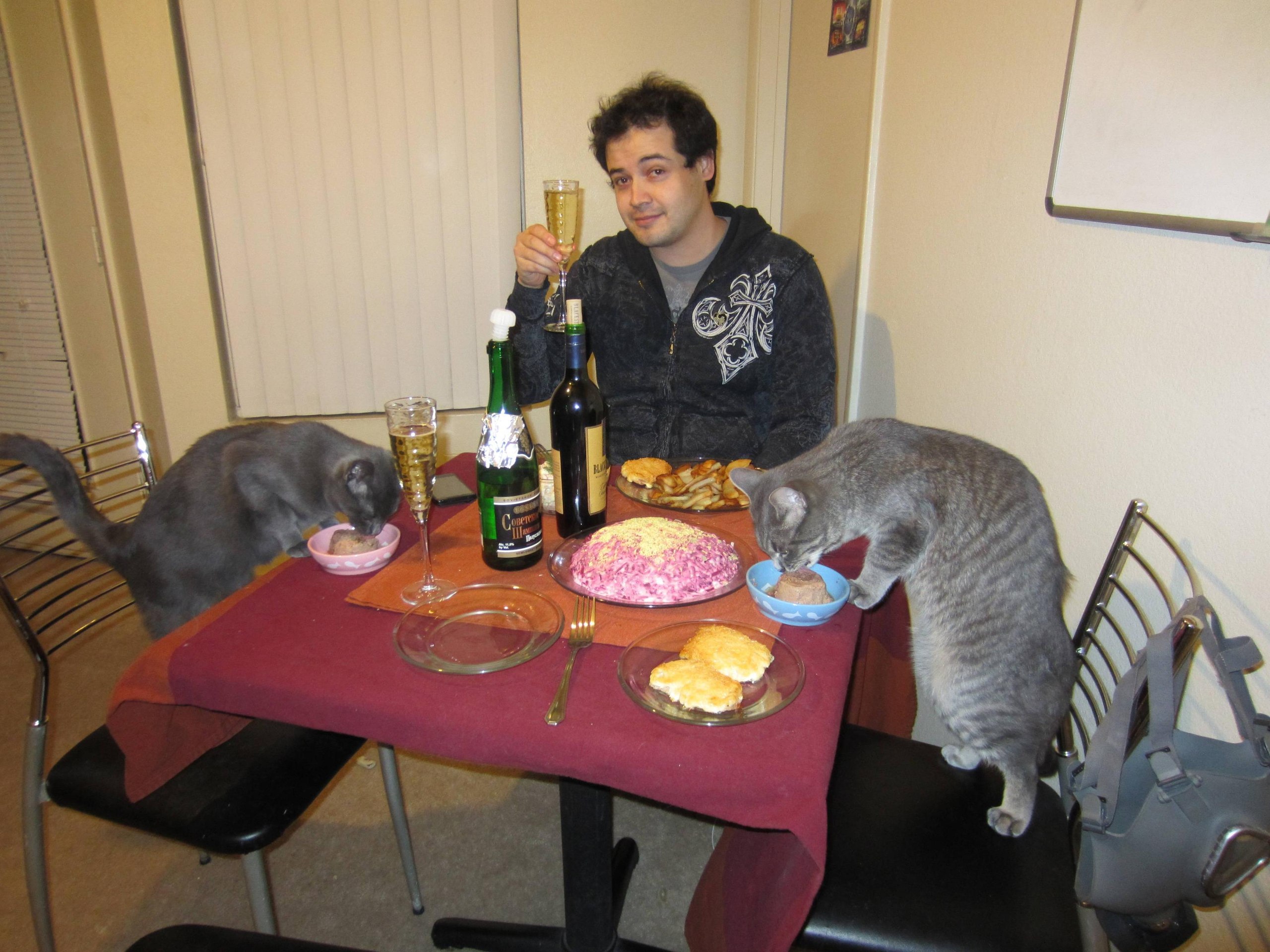 Независимый мужчина признаки. День рождения сильного и независимого мужчины. Ужин с котом. Сильный независимый мужчина прикол. Сильный независимый мужчина с котом.