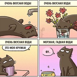 Смешные комиксы про кошек и котов 7