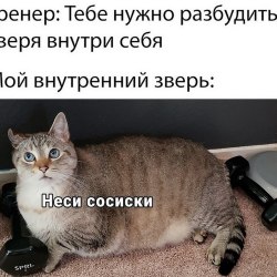 Анекдоты про котов и кошек (25 картинок) 17
