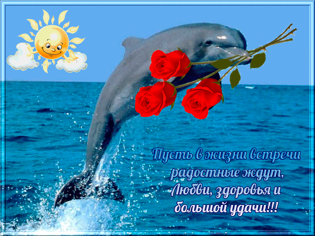 Поблагодарить море. Открытки. Открытки с пожеланиями. Поздравления с днём рождения море. С днём рождения дельфиг.