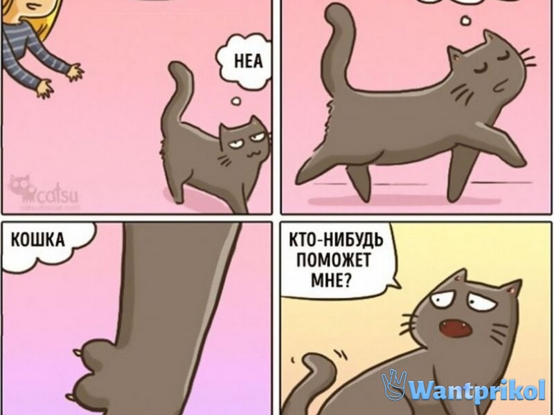 Смешные комиксы про кошек и котов