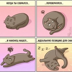 Смешные комиксы про кошек и котов 1