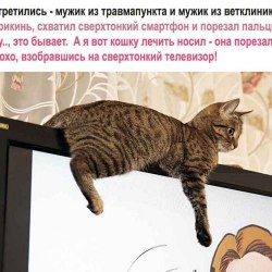 Анекдоты про котов и кошек (25 картинок) 7