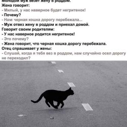 Анекдоты про котов и кошек (25 картинок) 5