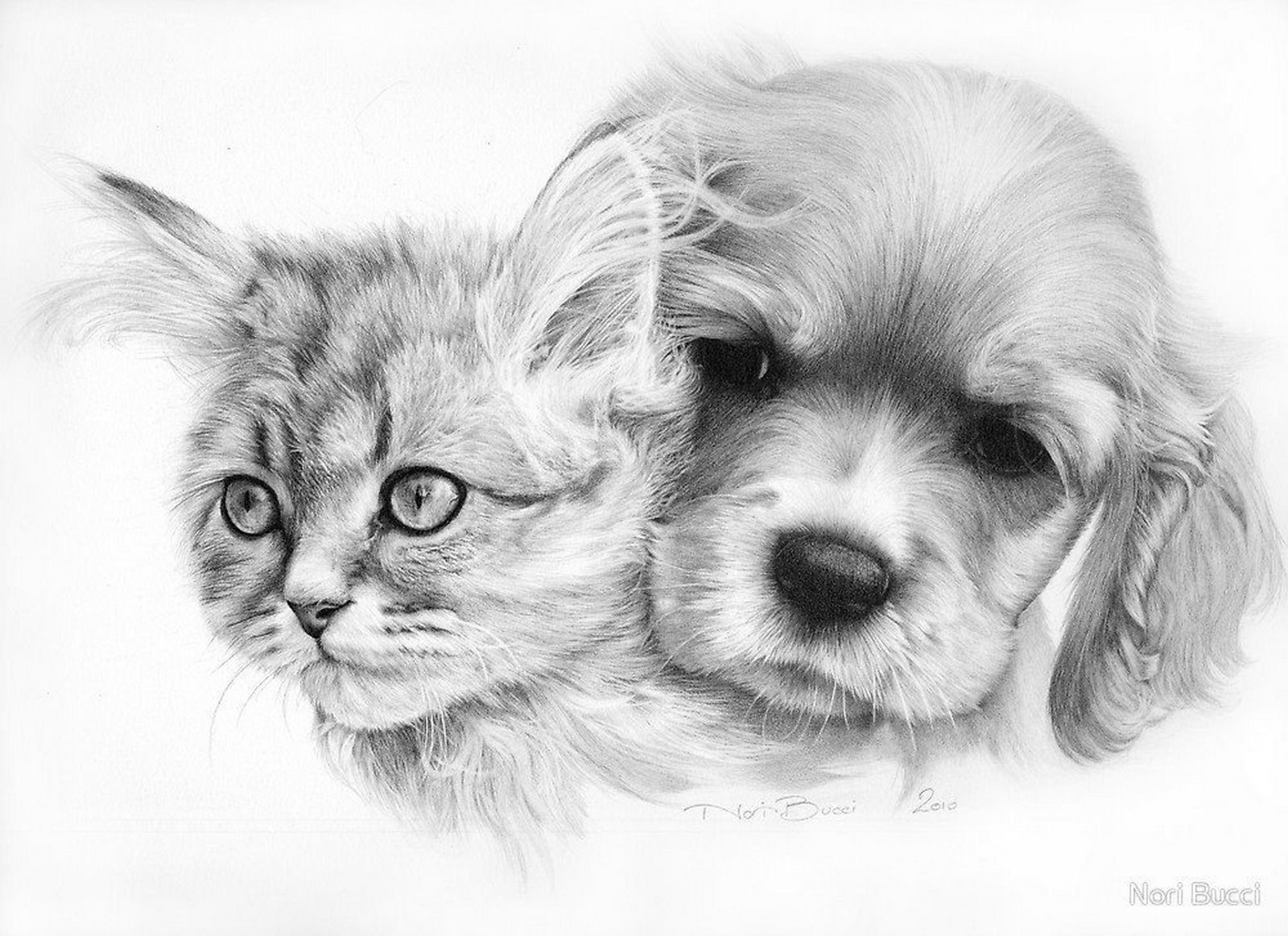 Кошечки собачки рисовать