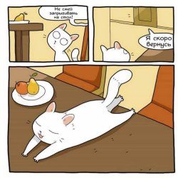 Смешные комиксы про кошек и котов 5
