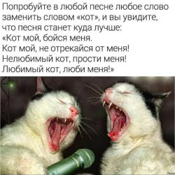 Анекдоты про котов и кошек (25 картинок) 21