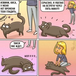 Смешные комиксы про кошек и котов 8