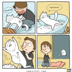 Смешные комиксы про кошек и котов 3