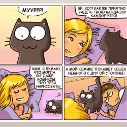 Смешные комиксы про кошек и котов 6