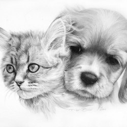 Рисунки с животными 9