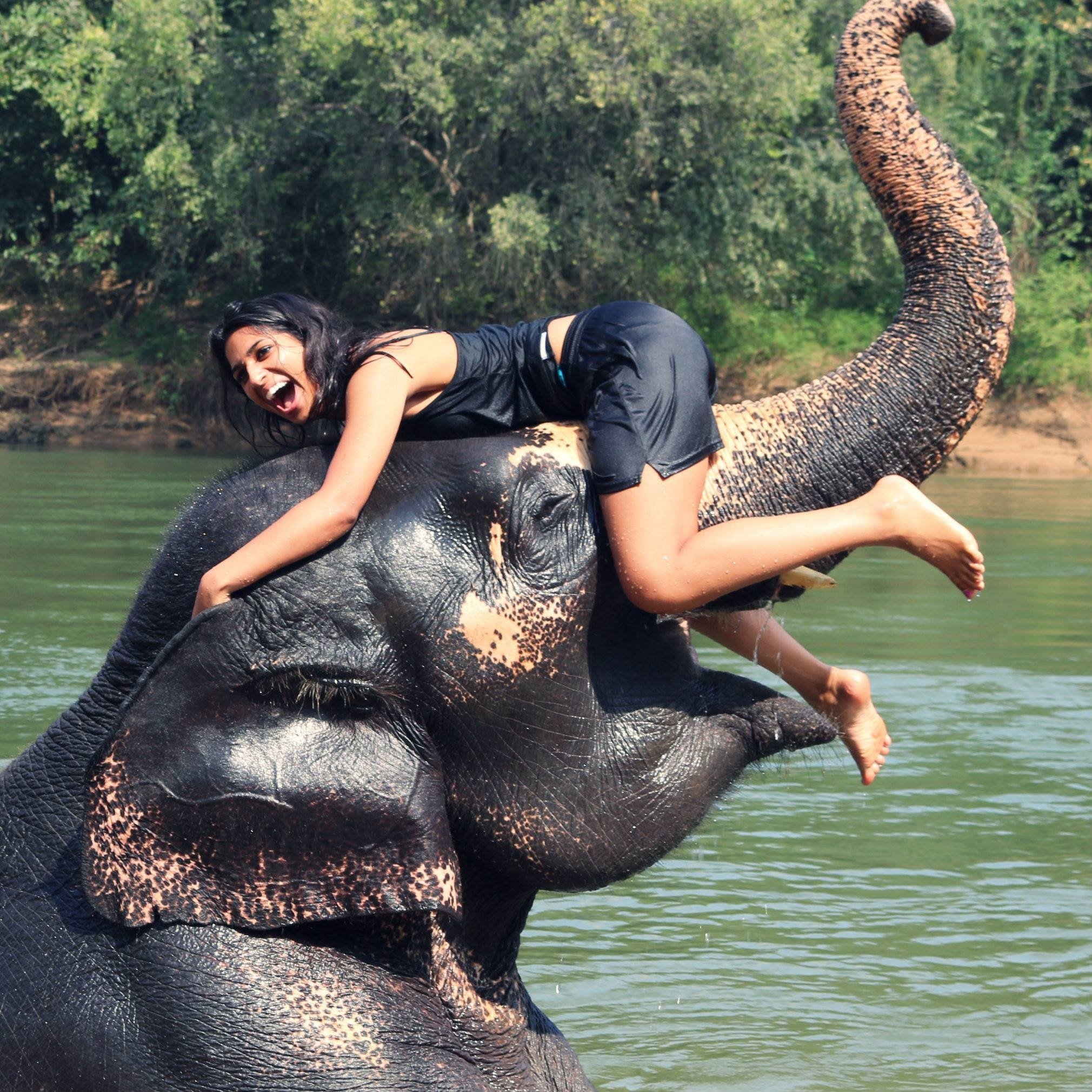 Животные с телками. Девушка на слоне. Девушка верхом на крокодиле. Интересные фото. Женщина верхом на слоне.