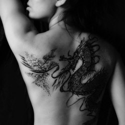 Girls with a dragon tattoo (32 pieces) 29
