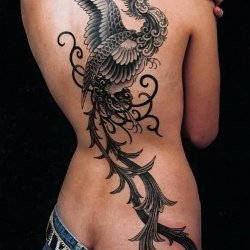 Girls with a dragon tattoo (32 pieces) 15