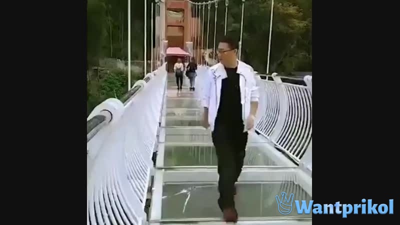 Danger on the bridge. Video joke