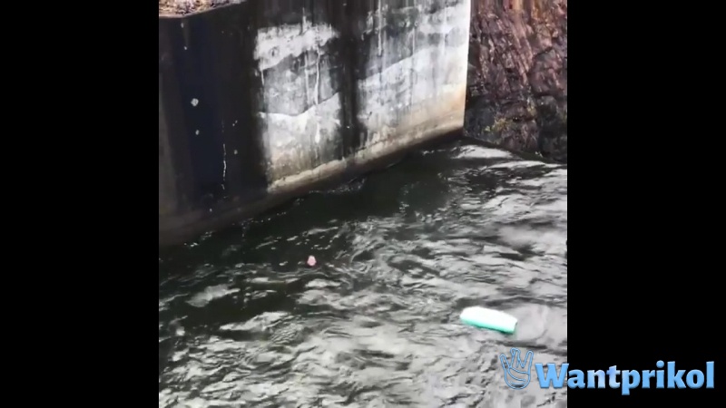 Водная горка. Видео прикол