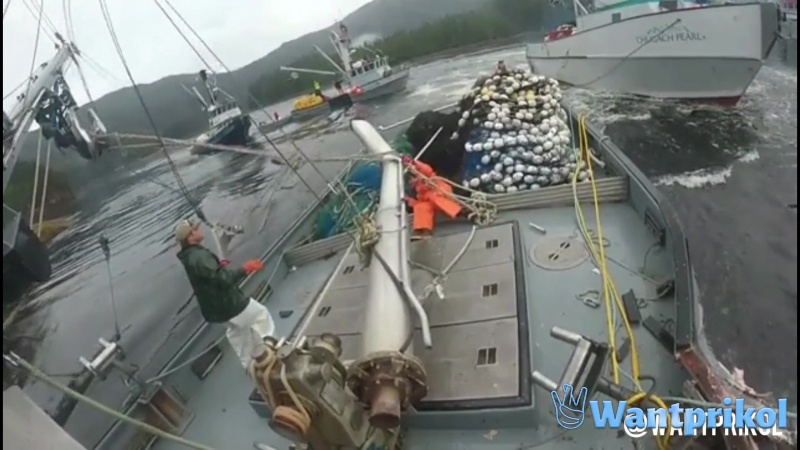 Collision of two fishing vessels. Video joke