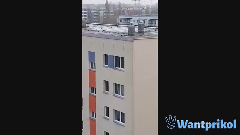 A squirrel is climbing a high-rise building. Video joke