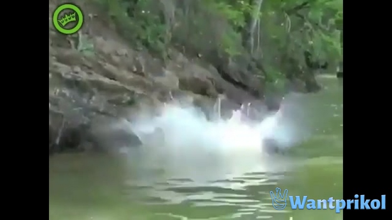 В воде оказался крокодил. Видео прикол