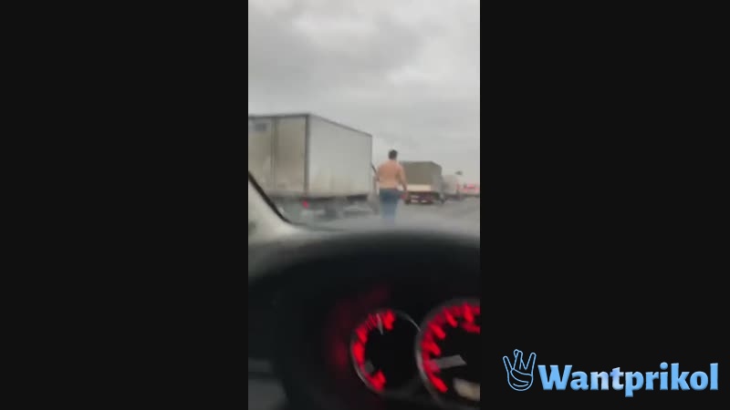 A family quarrel on the highway. Video joke