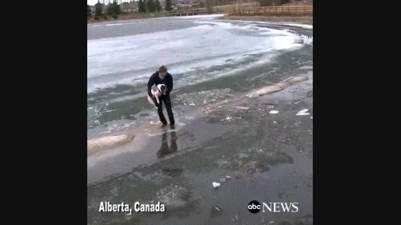 Спасение собаки из реки в Канаде. Видео прикол