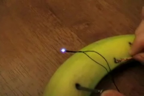 Banana battery. Video joke
