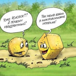 A selection of funny cartoons №3 16