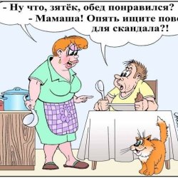 A selection of funny cartoons №2 4