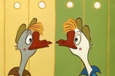 Two funny geese