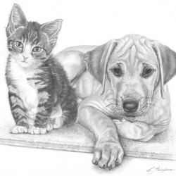 Рисунки с животными 15