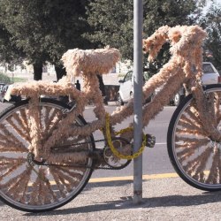 Bicycle humor (40 photos) 8