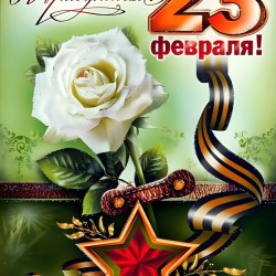 Happy Defender of the Fatherland Day (25 postcards) 22