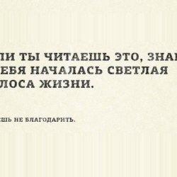 A selection of funny inscriptions №13 2