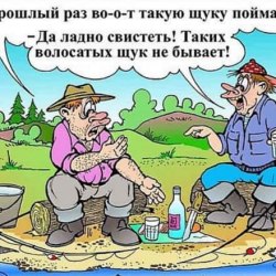 A selection of funny cartoons №2 12