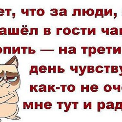 A selection of funny inscriptions №5 19