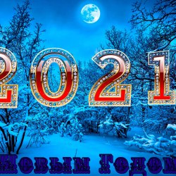 New Year's cards 2021 (16 photos) 9