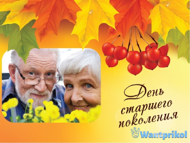 Поздравления в День пожилых людей (24 открытки)