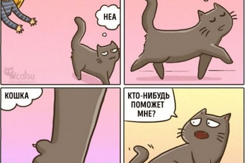 Смешные комиксы про кошек и котов