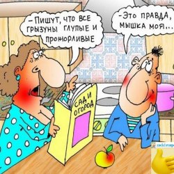 A selection of funny cartoons №5 6