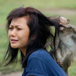 Girls with animals (20 photos) 15